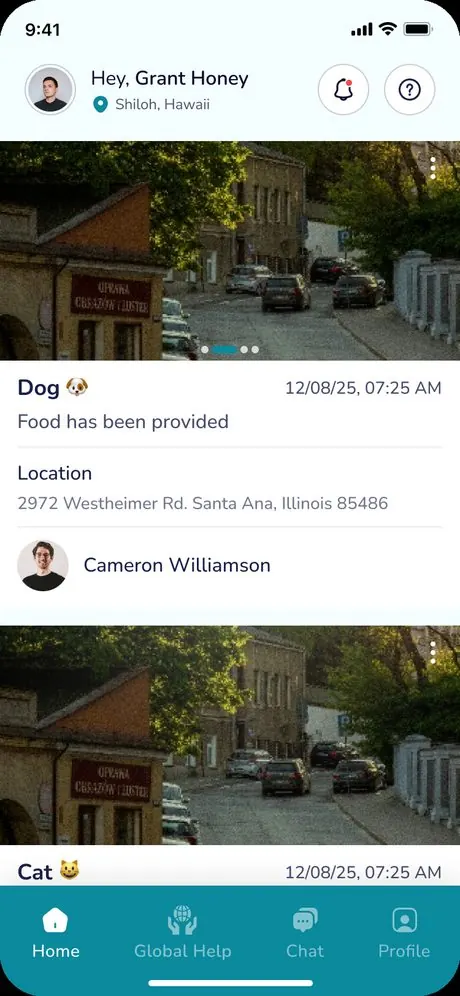 Home feed